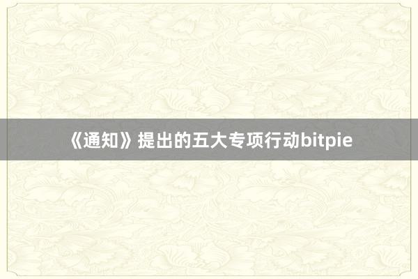 《通知》提出的五大专项行动bitpie