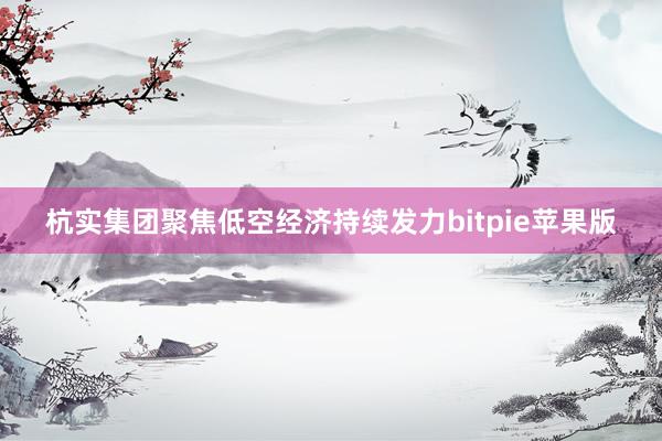 杭实集团聚焦低空经济持续发力bitpie苹果版