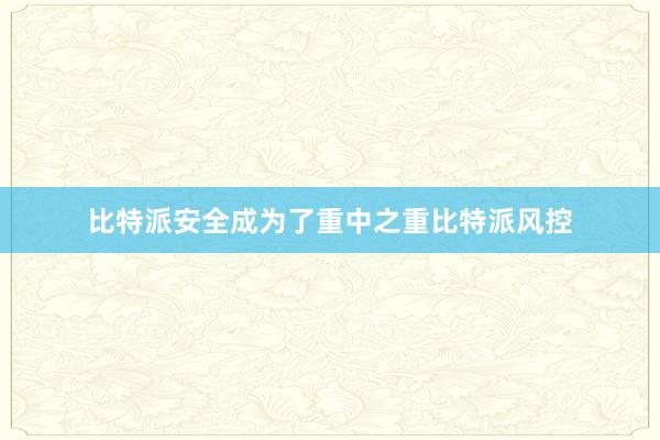 比特派安全成为了重中之重比特派风控