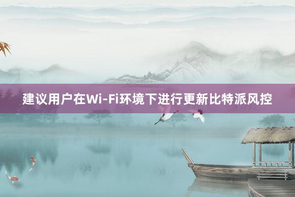 建议用户在Wi-Fi环境下进行更新比特派风控