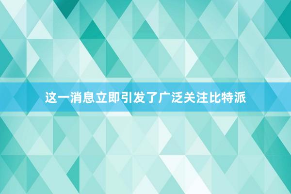 这一消息立即引发了广泛关注比特派