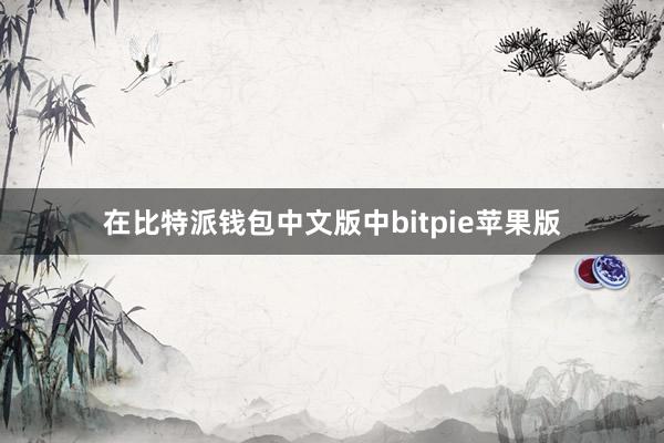 在比特派钱包中文版中bitpie苹果版