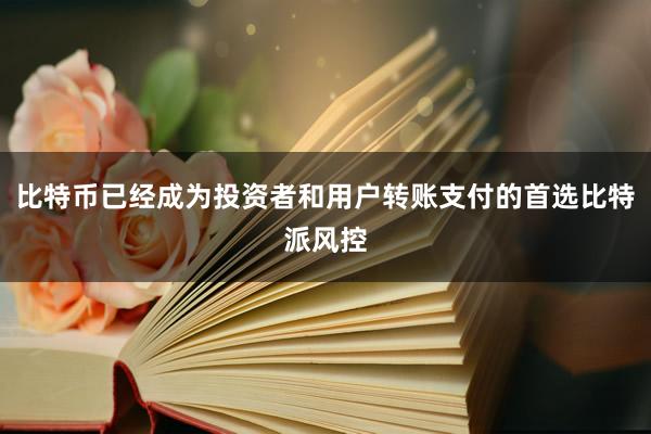 比特币已经成为投资者和用户转账支付的首选比特派风控