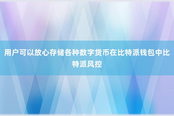 用户可以放心存储各种数字货币在比特派钱包中比特派风控