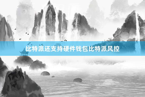 比特派还支持硬件钱包比特派风控