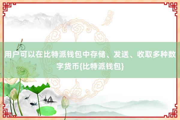 用户可以在比特派钱包中存储、发送、收取多种数字货币{比特派钱包}