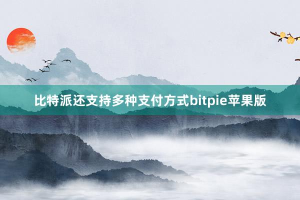 比特派还支持多种支付方式bitpie苹果版