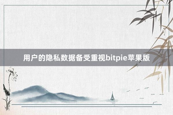 用户的隐私数据备受重视bitpie苹果版