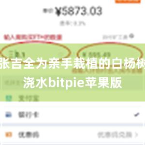 张吉全为亲手栽植的白杨树浇水bitpie苹果版