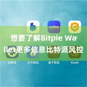 想要了解Bitpie Wallet更多信息比特派风控