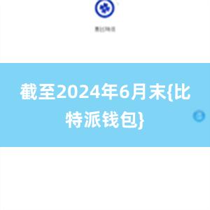 截至2024年6月末{比特派钱包}