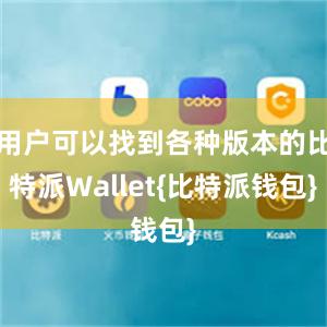 用户可以找到各种版本的比特派Wallet{比特派钱包}