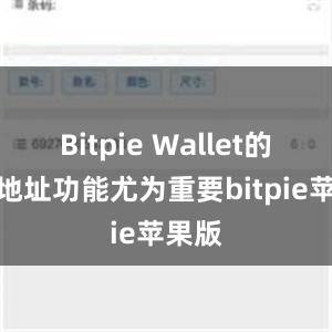 Bitpie Wallet的国际地址功能尤为重要bitpie苹果版