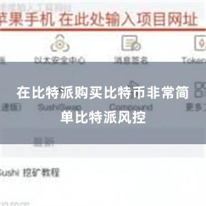 在比特派购买比特币非常简单比特派风控